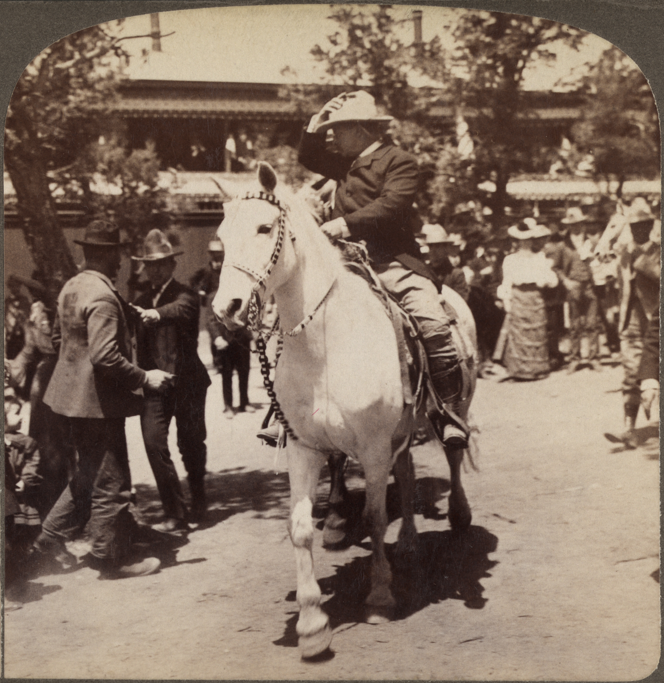 President Theodore Roosevelt rides a horse. President Theodore Roosevelt rides a horse.